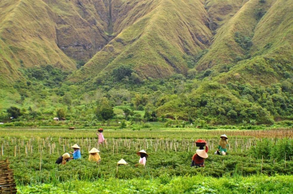 Farmers